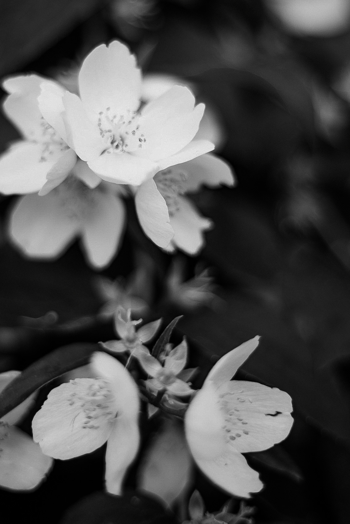 Катя&Женя Москва ❤️. Фотограф в Санкт Петербурге и Москве Анастасия Сиволод