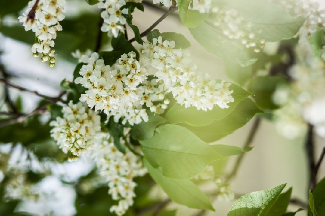 Моменты 2011-2016. Анастасия Либерти