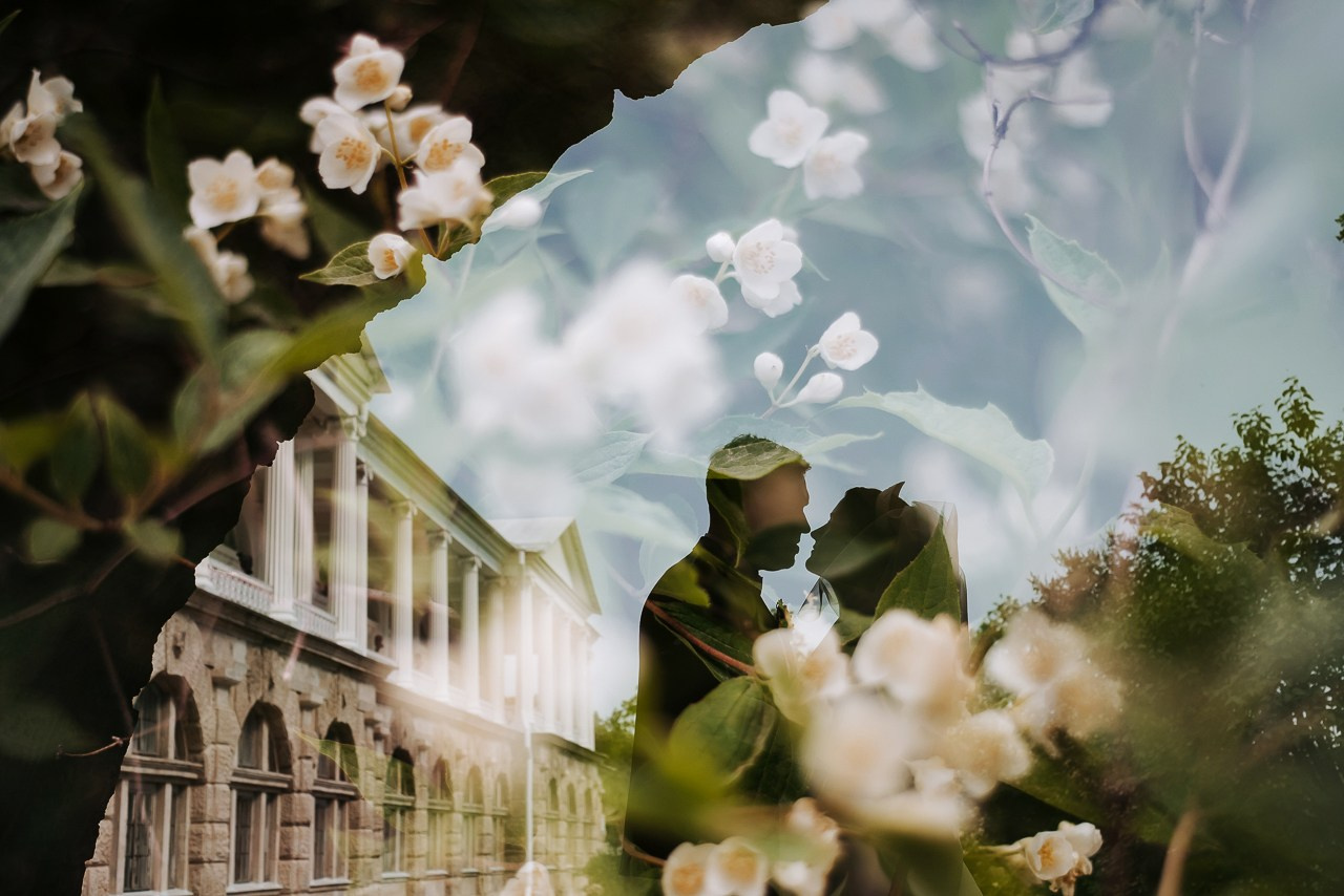 Подборка разных свадеб 2021-2024. Фотограф Дмитрий Сермяжко