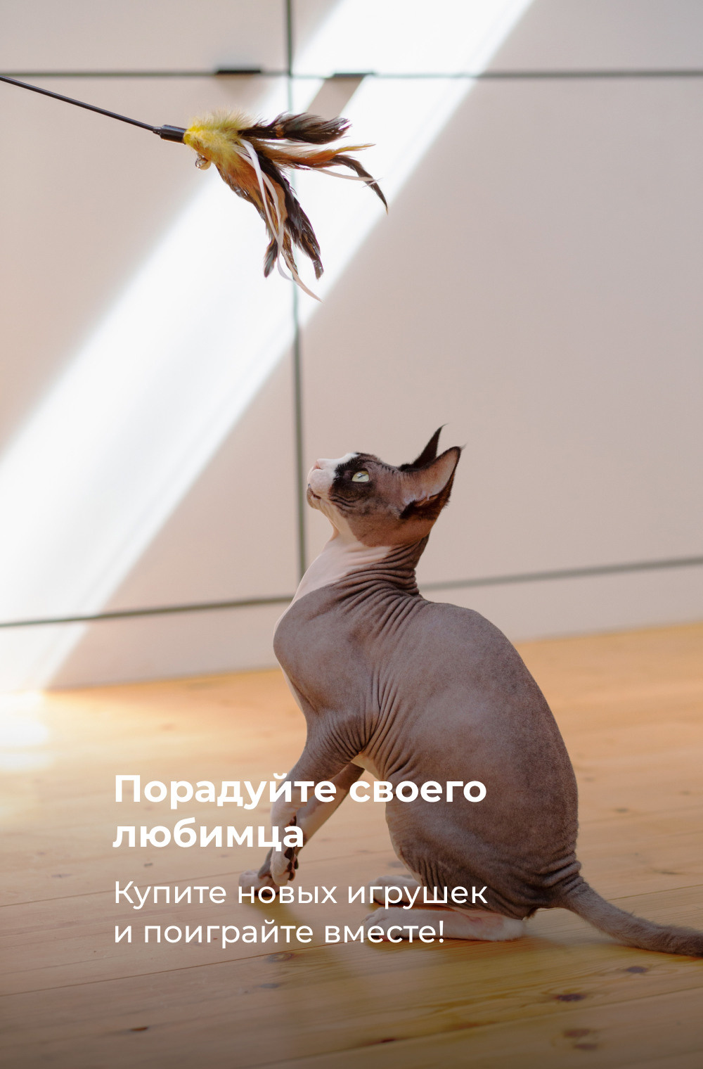 DELIVERY CLUB. Photo/Video Production