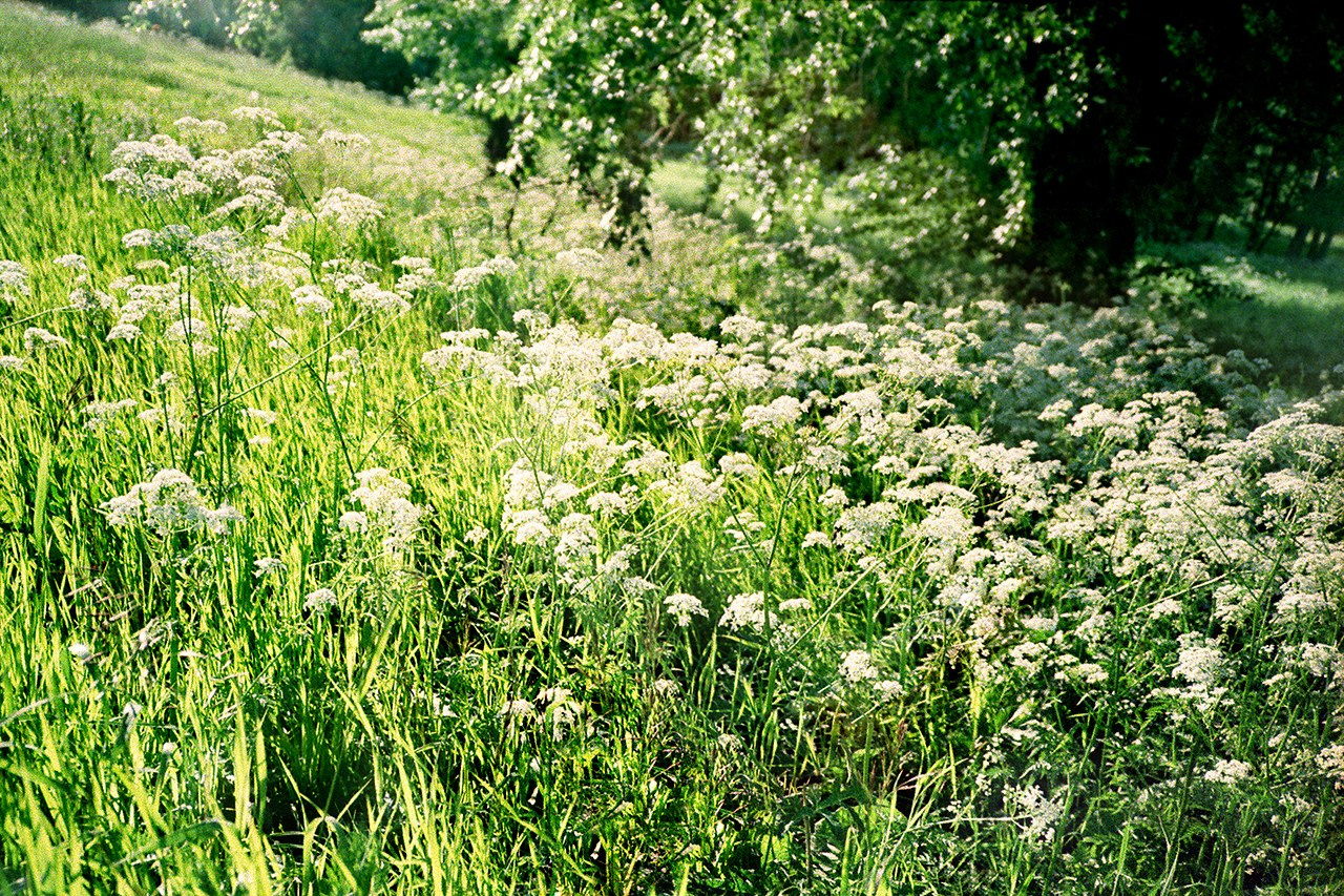 РАЗНОЕ. Андрей Пономарёв