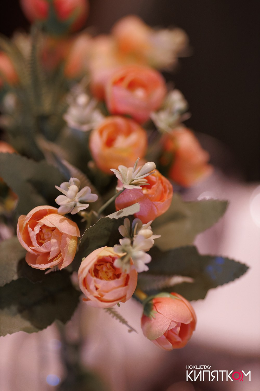 ТБИЛИСИ. КИПЯТКОМ КОКШЕТАУ