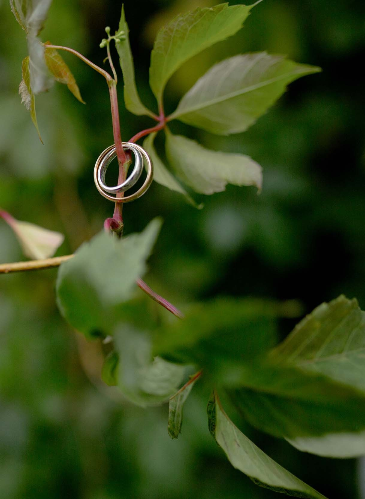 СВАДЬБА. Фотография. Визуально-чувственный мир души