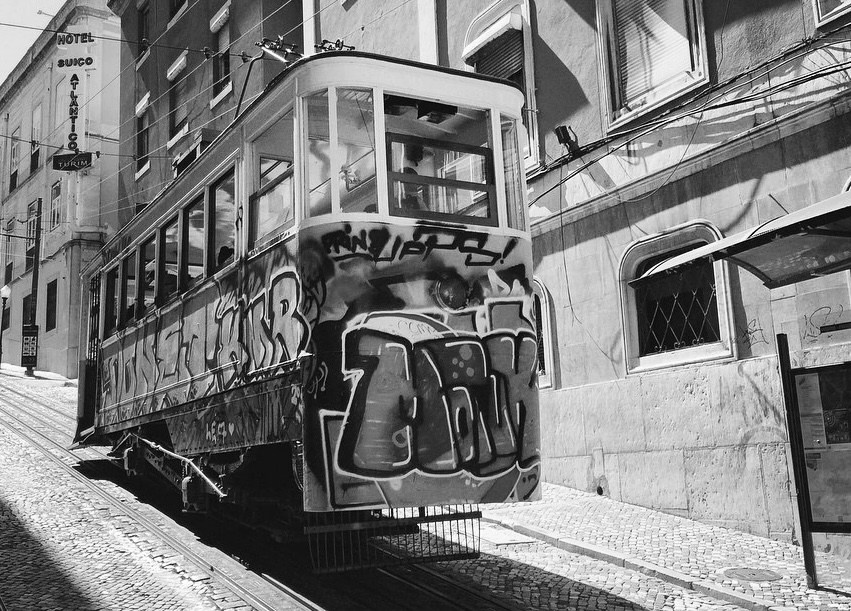 Вояж. Фотограф — Маслеников Константин