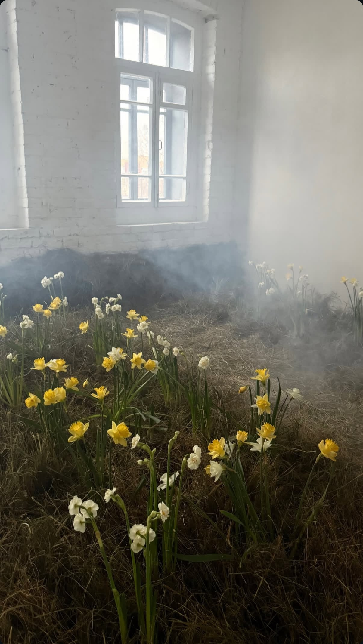 Фотостудия МОХ зал Свет. Фотограф Настя Лев