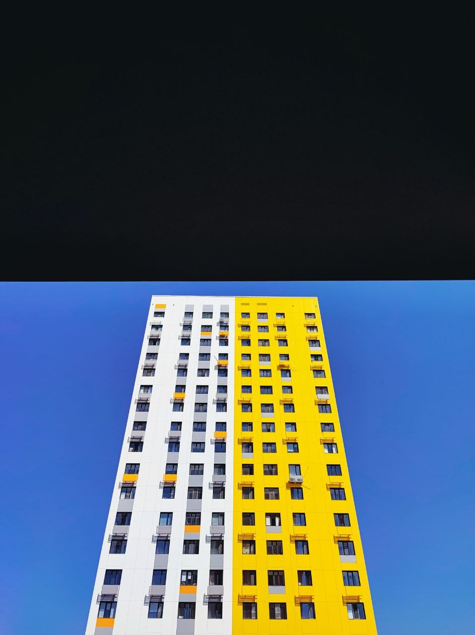 Намобилкус казахский. Репортажный фотограф Алексей Пирязев