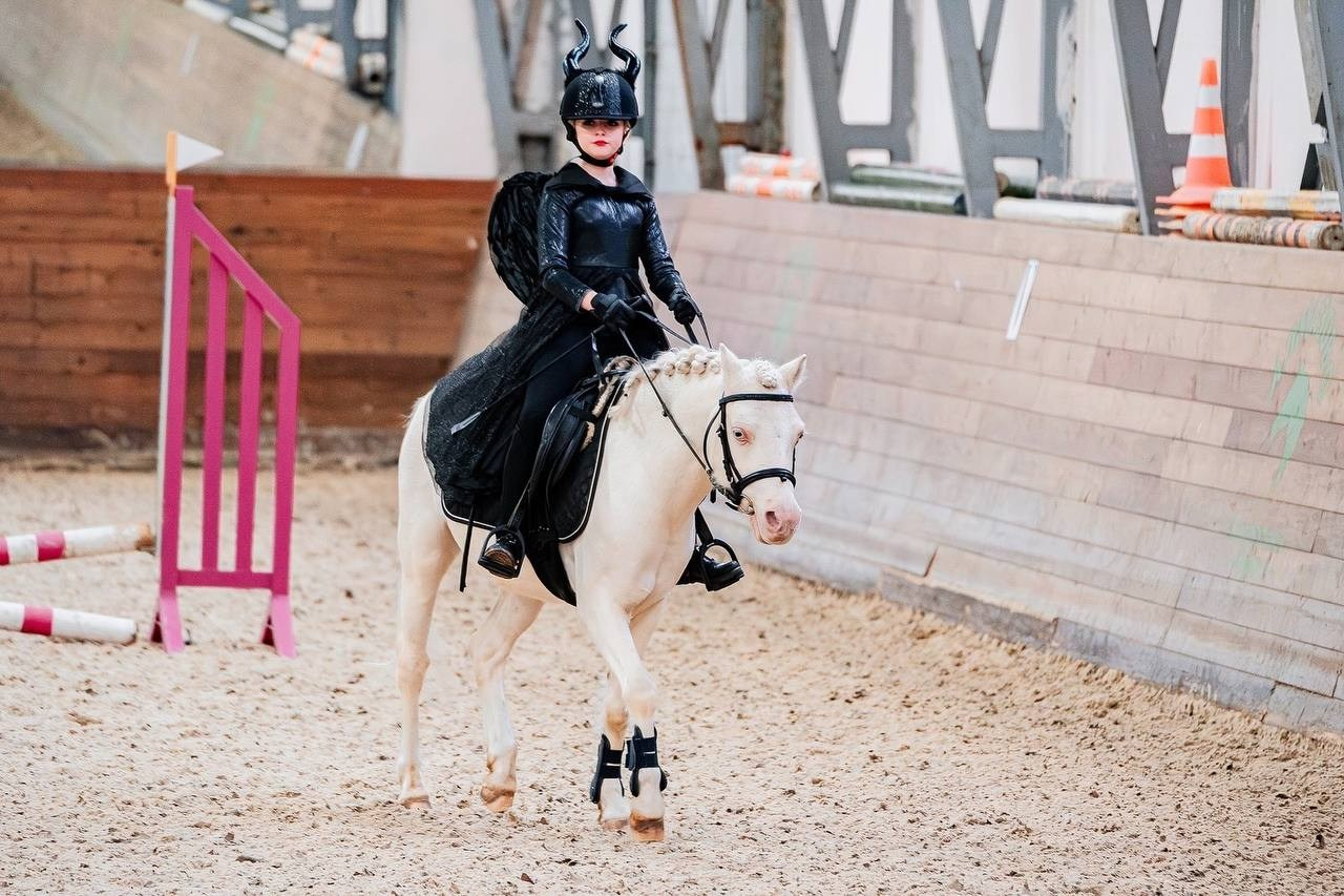 НОВЫЙ ГОД В КСК «АЛМАЗОВО», КОНКУР. Куракина Дарья • Конный фотограф