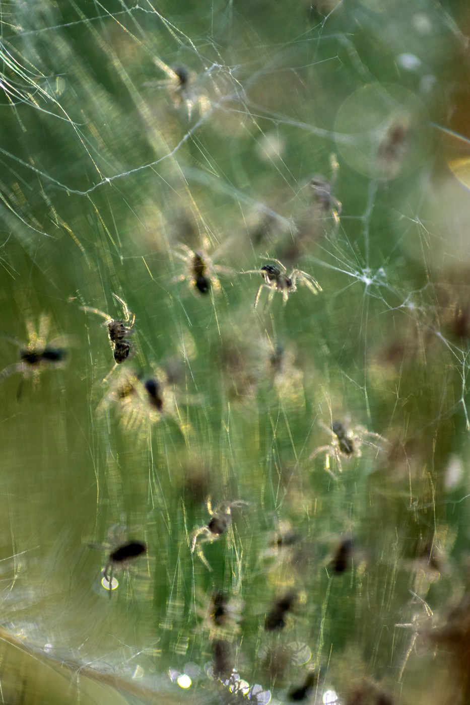 Фотопленэр на болоте. Фотообъединение Самарского областного отделения Союза журналистов России