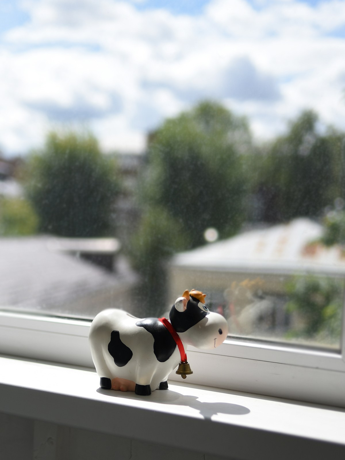 Предметные фото. Монохромный фотограф