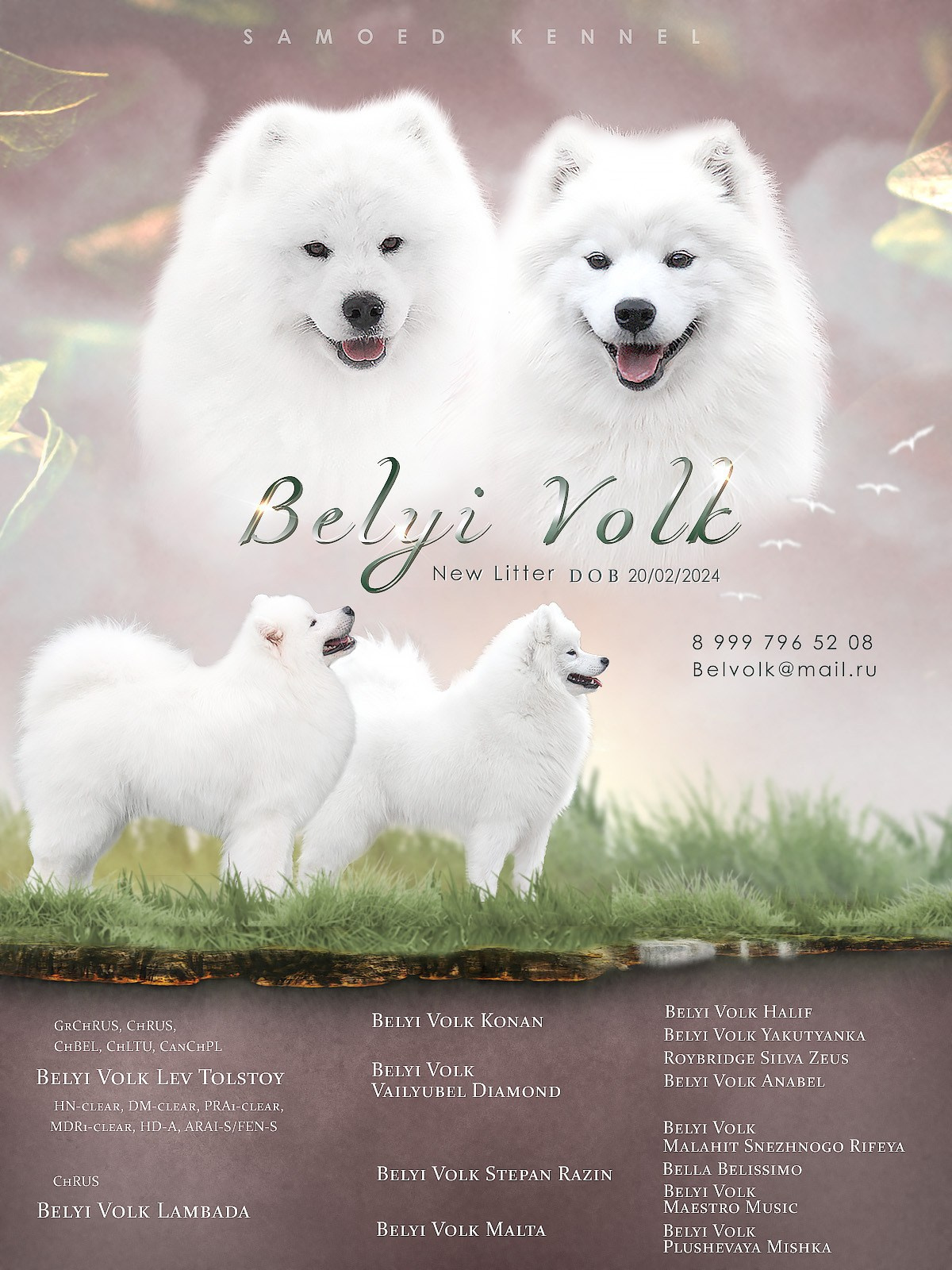 Презентации. Фотограф — анималист в Туле Юлия Лето