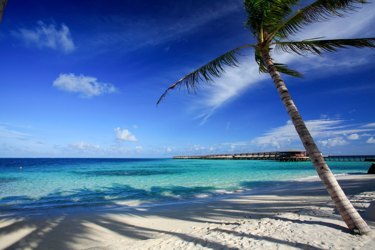 Мальдивы для взрослых девочек. Ароматестирование по методу Аромакод и Нейростатус в Санкт-Петербурге