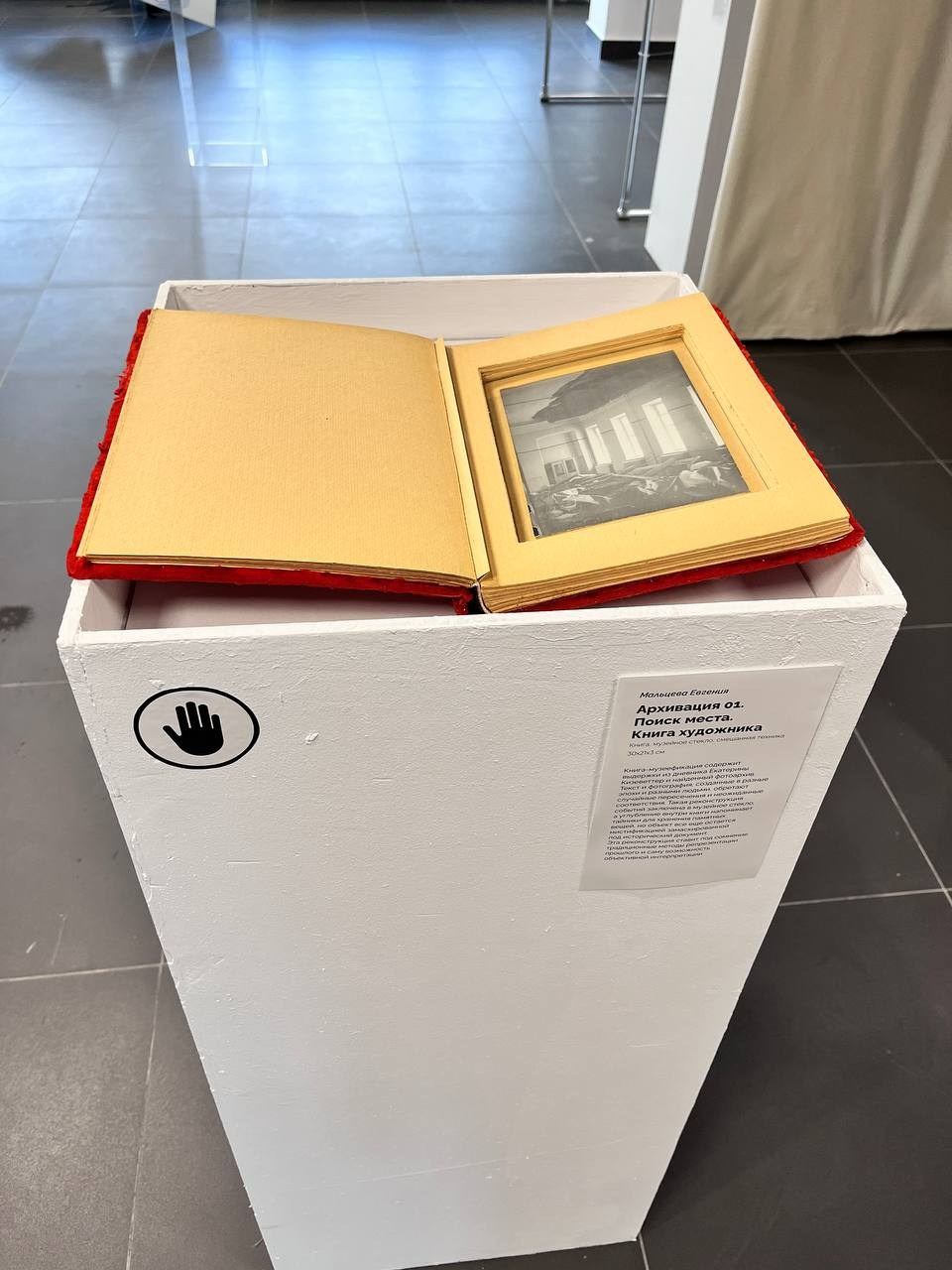 Художник  Евгения Мальцева. СОАВТОРЫ