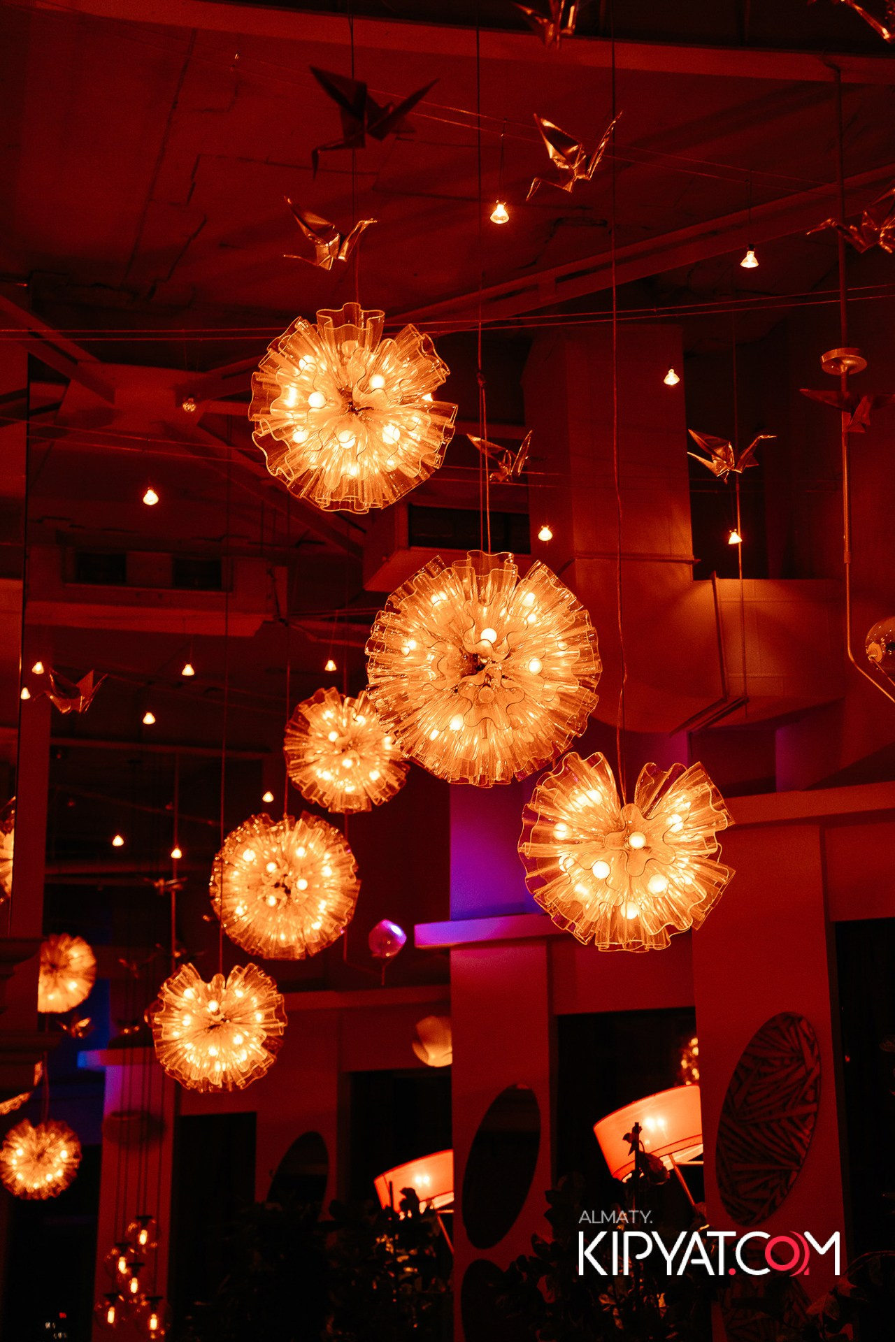 Barfly. КИПЯТКОМ АЛМАТЫ!