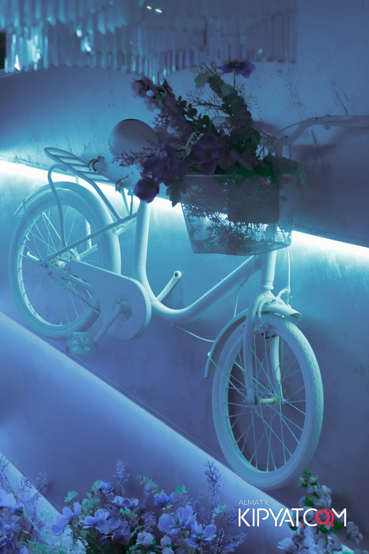 УХО И МЕДВЕДЬ НА САИНА. КИПЯТКОМ АЛМАТЫ!