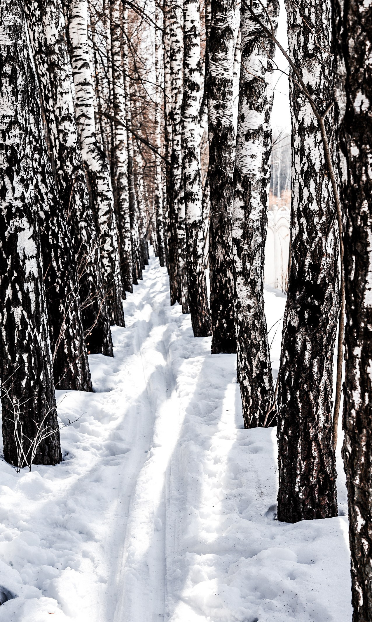 Пейзаж. Фотограф Олеся Шипихина г. Москва