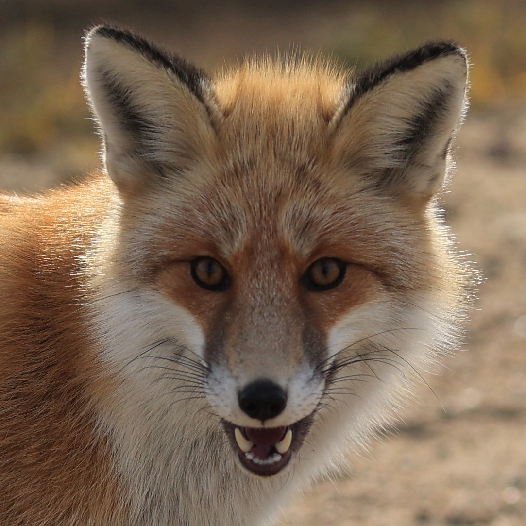 2023. Тащилин Сергей. Фотографии. Жизнь. Хобби