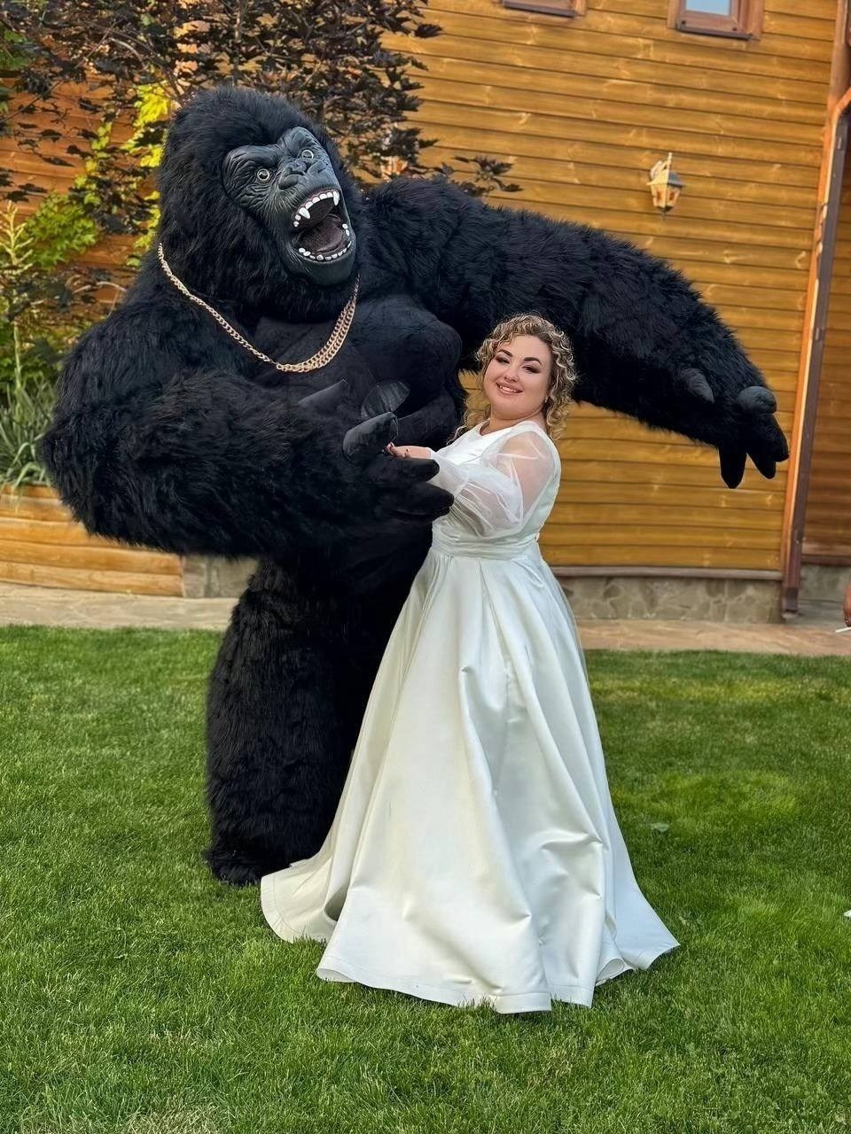 горилла ,ростовая кукла поздравляет молодожен на свадьбе и танцует танец невестой в городе Цимлянск