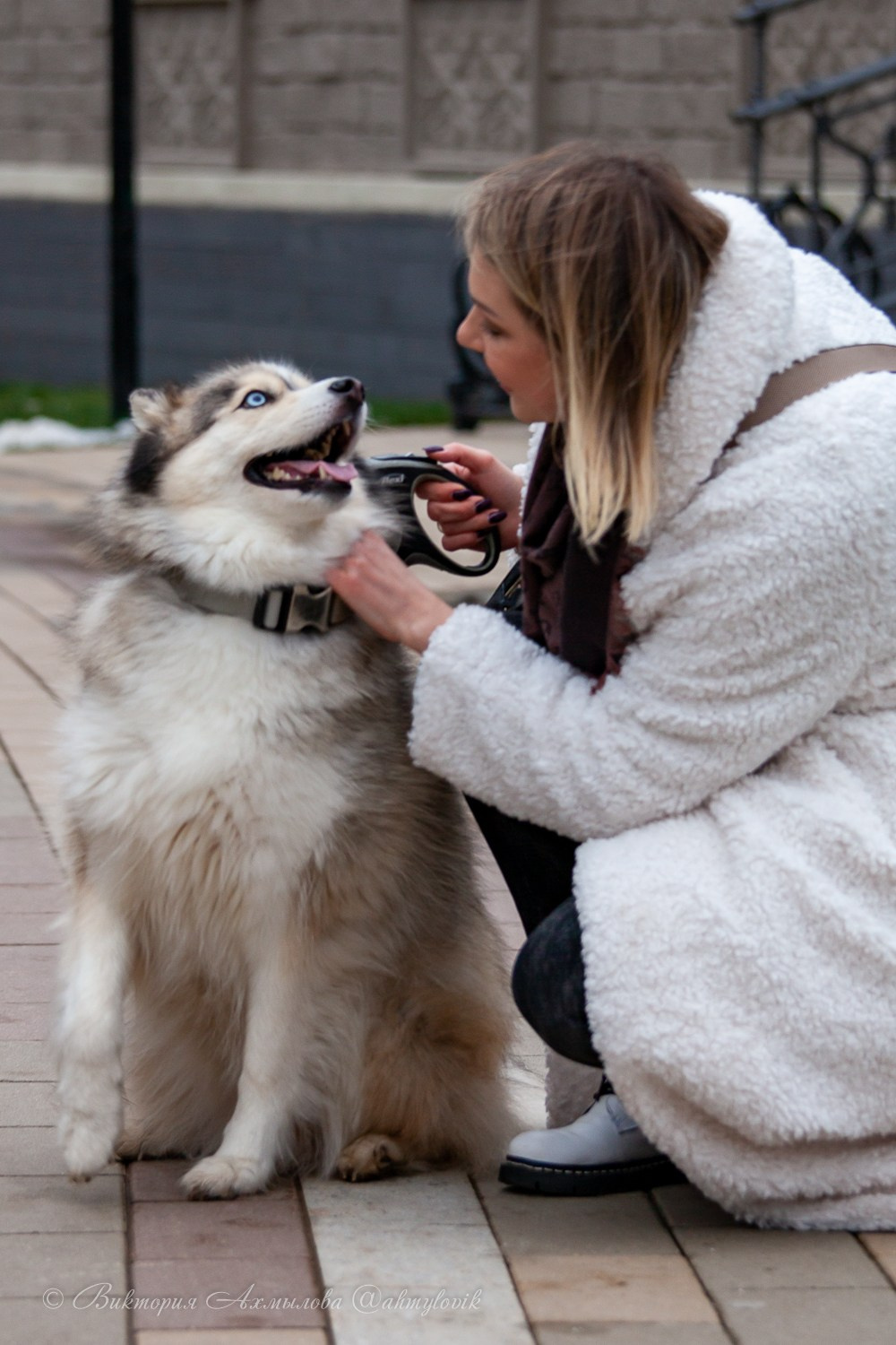 Прогулка с Хаски (Настя). Виктория Ахмылова. Фотограф в Москве