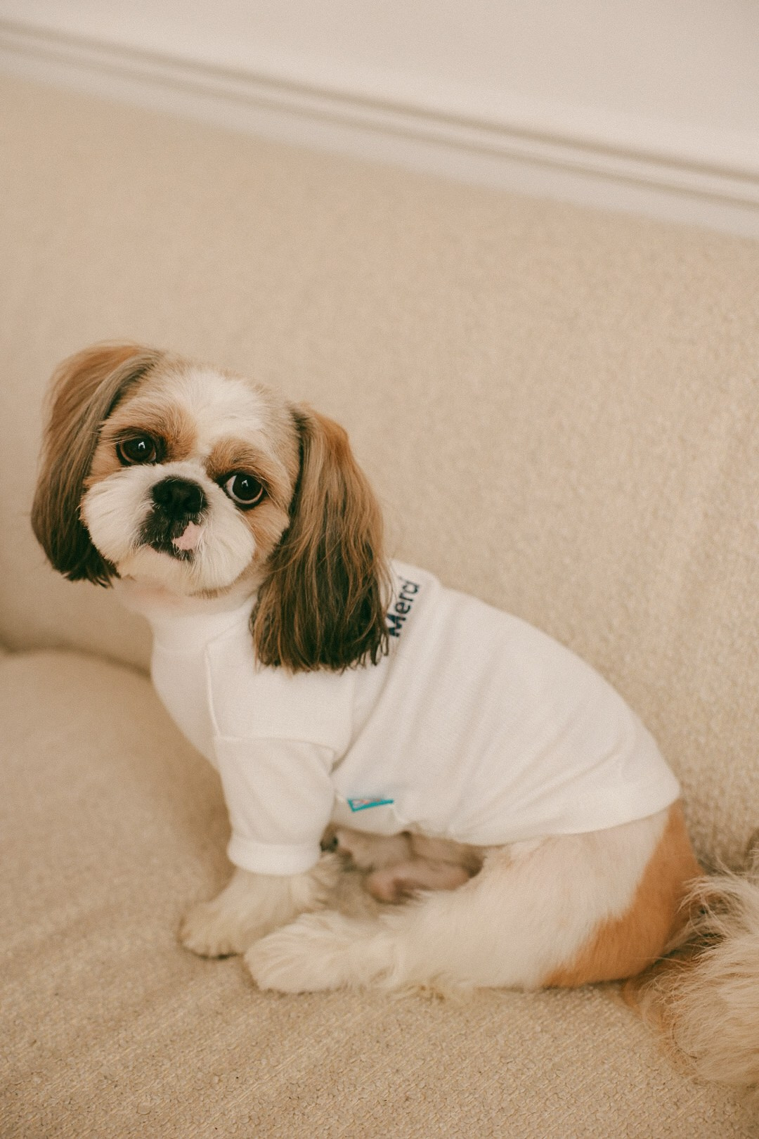 Год Роме. Фотограф Нижний Новгород