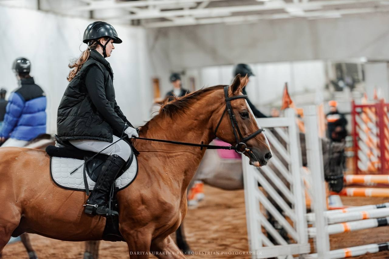 ЧЕМПИОНАТ РАМЕНСКОГО ГОРОДСКОГО ОКРУГА ПО КОНКУРУ в КСК «СОЗВЕЗДИЕ». Куракина Дарья • Конный фотограф