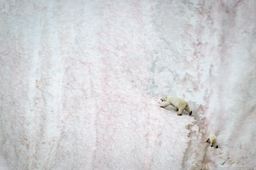 Экспедиции. Фотограф Андрей Шереметьев. Репортажный, спортивный фотограф