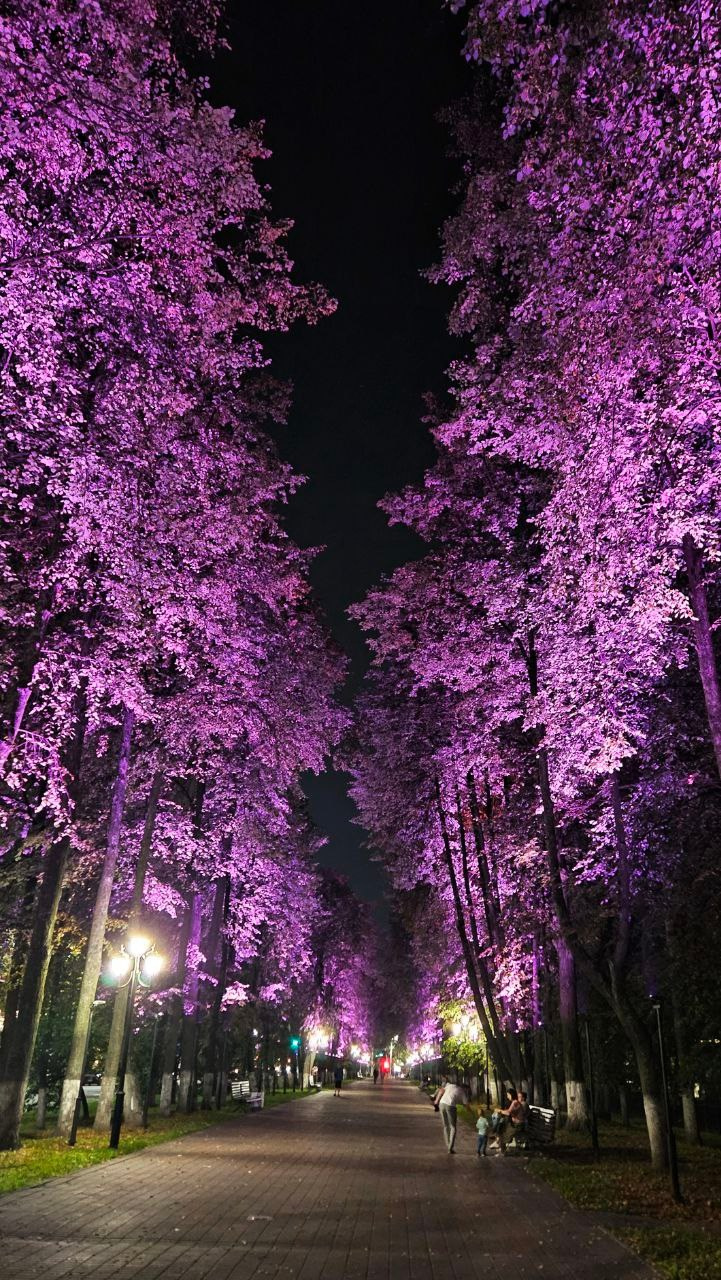 Занятия для художников. Изостудия «Мы рисуем!» ♥ Южное Бутово, Москва