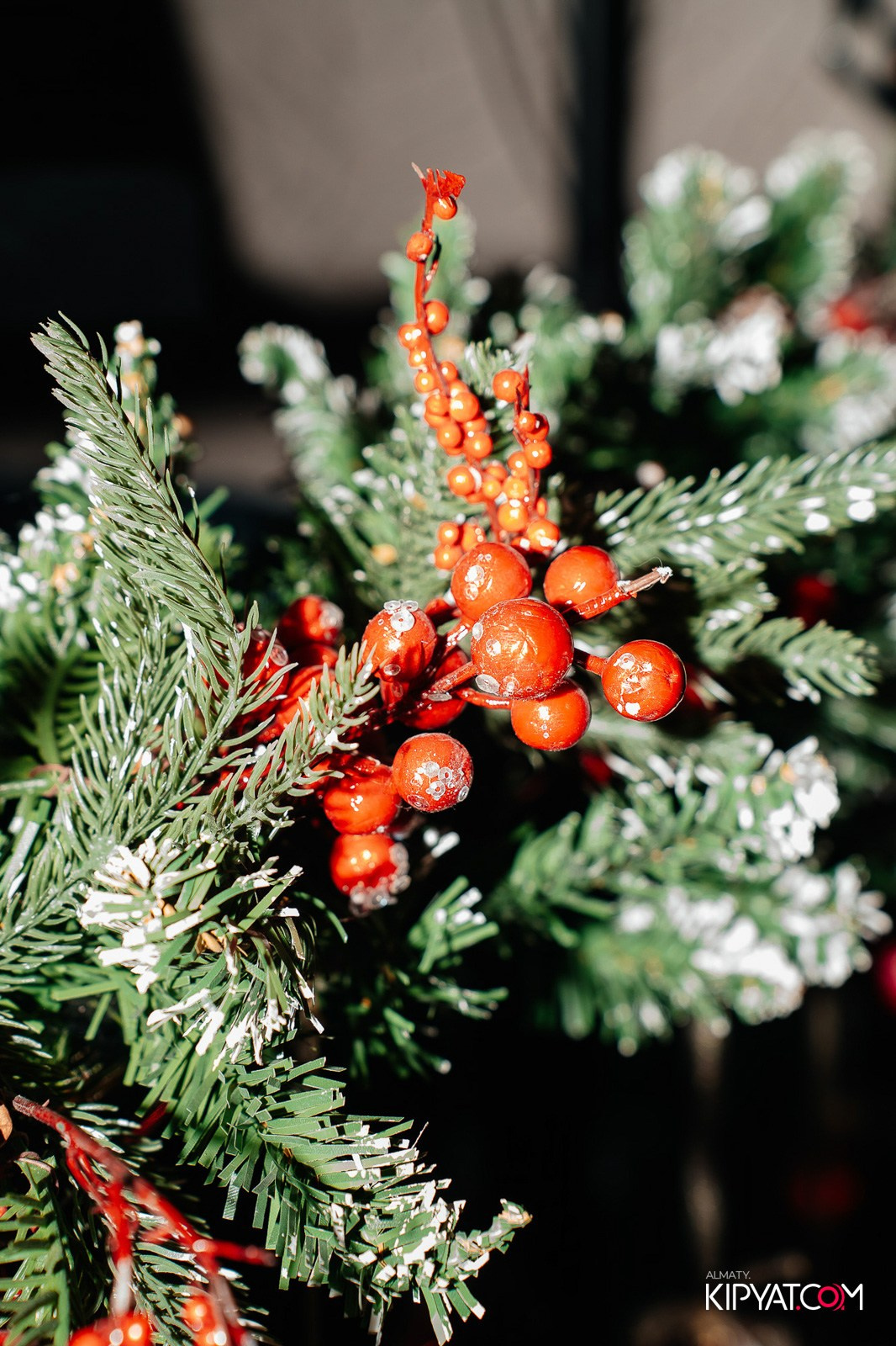 РЕСТОРАН BARFLY. КИПЯТКОМ АЛМАТЫ!