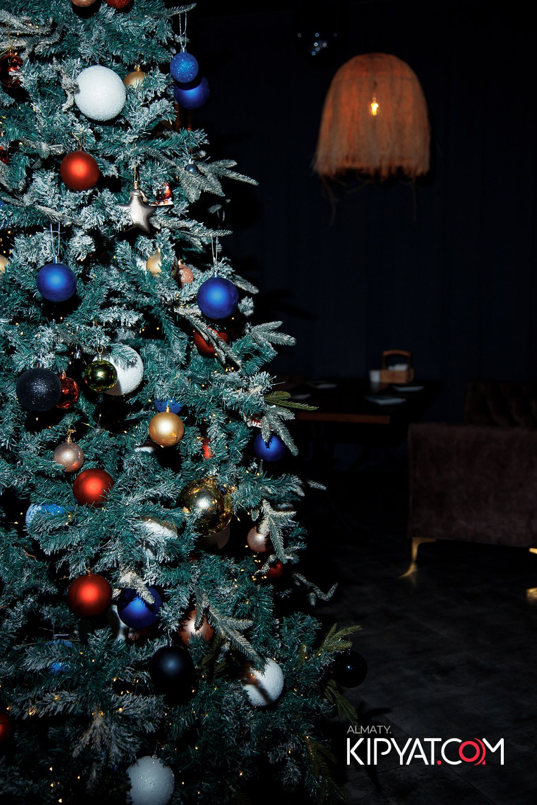 КАФЕ ЖАСМИН НА ЯССАУИ. КИПЯТКОМ АЛМАТЫ!