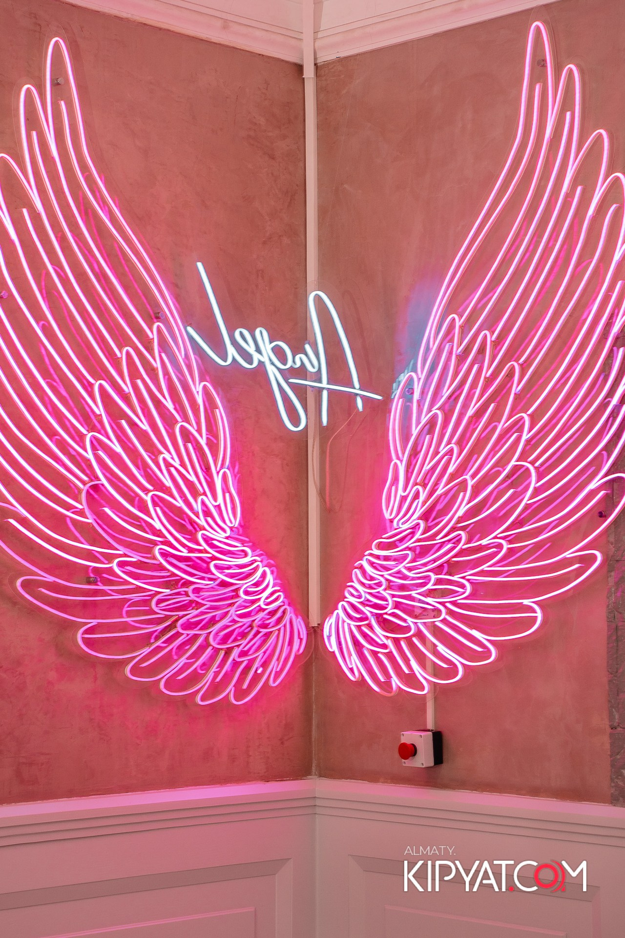 УХО И МЕДВЕДЬ НА КУРМАНГАЗЫ. КИПЯТКОМ АЛМАТЫ!