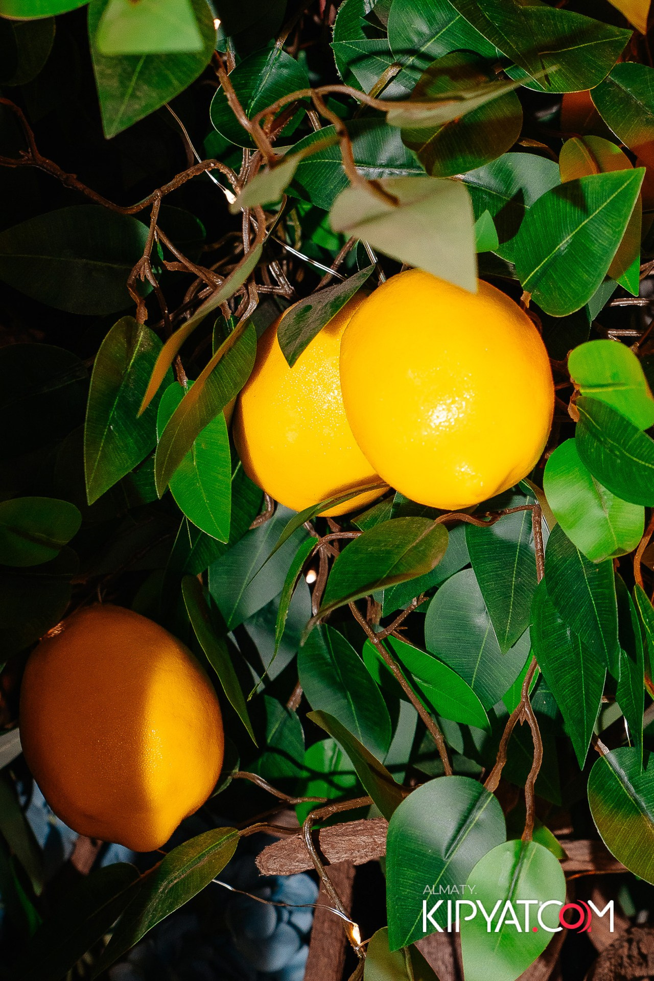 MODI RESTORANCHIK. КИПЯТКОМ АЛМАТЫ!