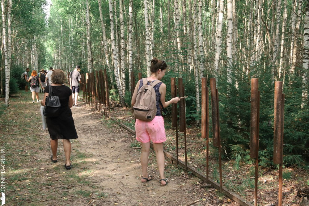 Фестиваль Архстояние. Репортажный и интерьерный фотограф Александра Солдатова