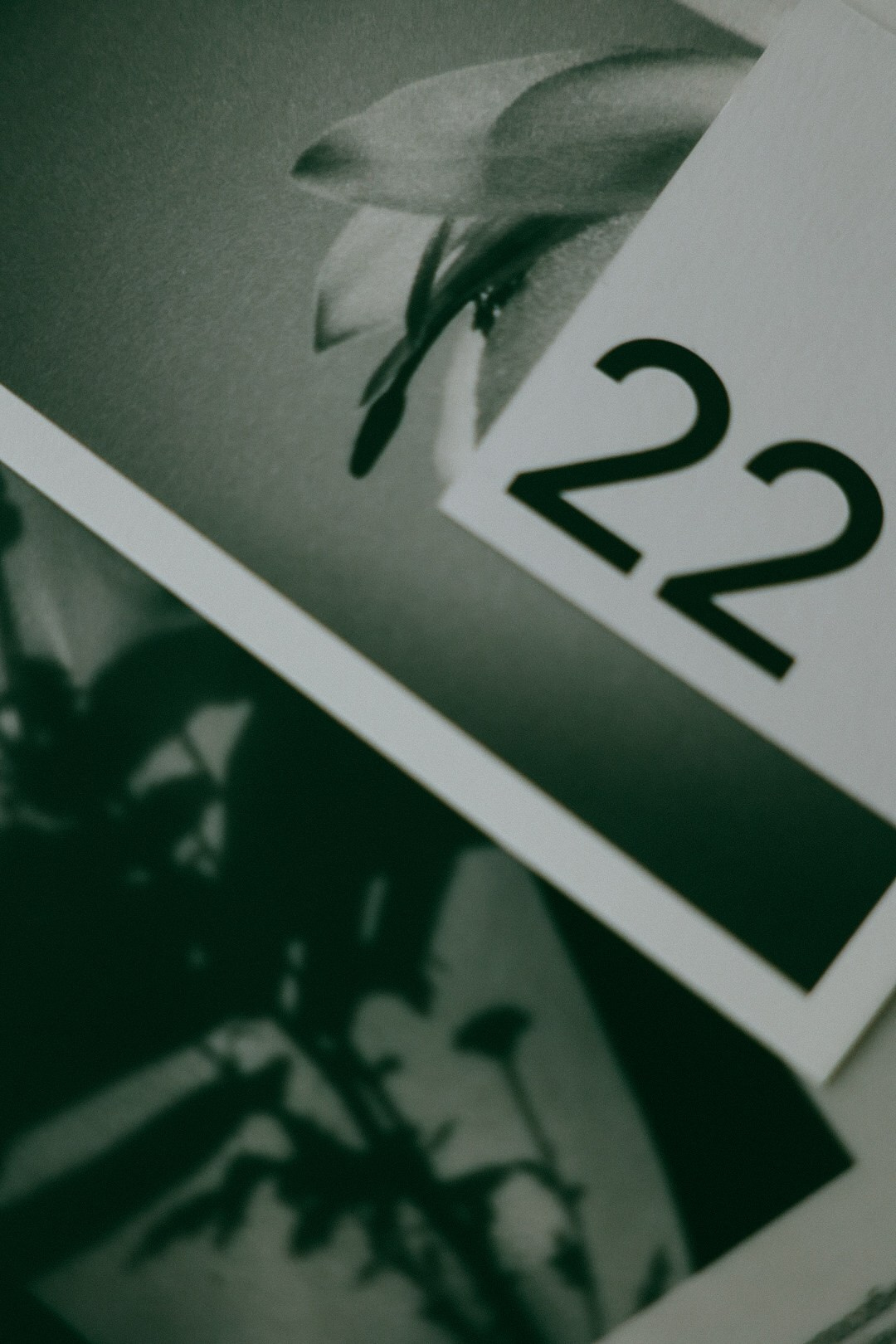 22 zima. Фотограф Нижний Новгород