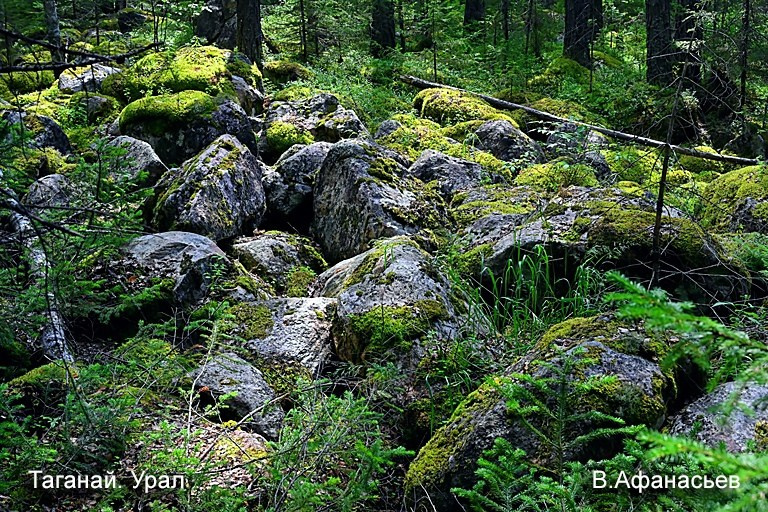 Выставка «Природа России». Фотообъединение Самарского областного отделения Союза журналистов России