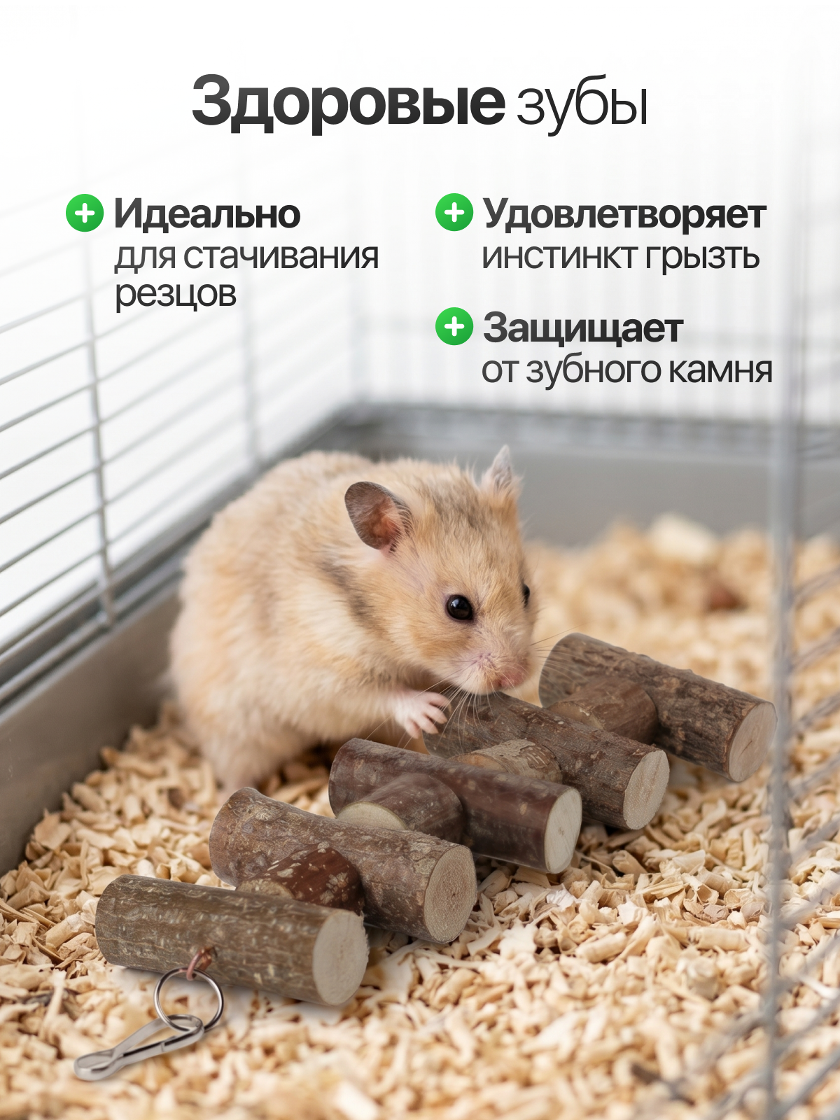 Инфографика. Дмитрий Королев. Ваш предметный фотограф и дизайнер инфографики