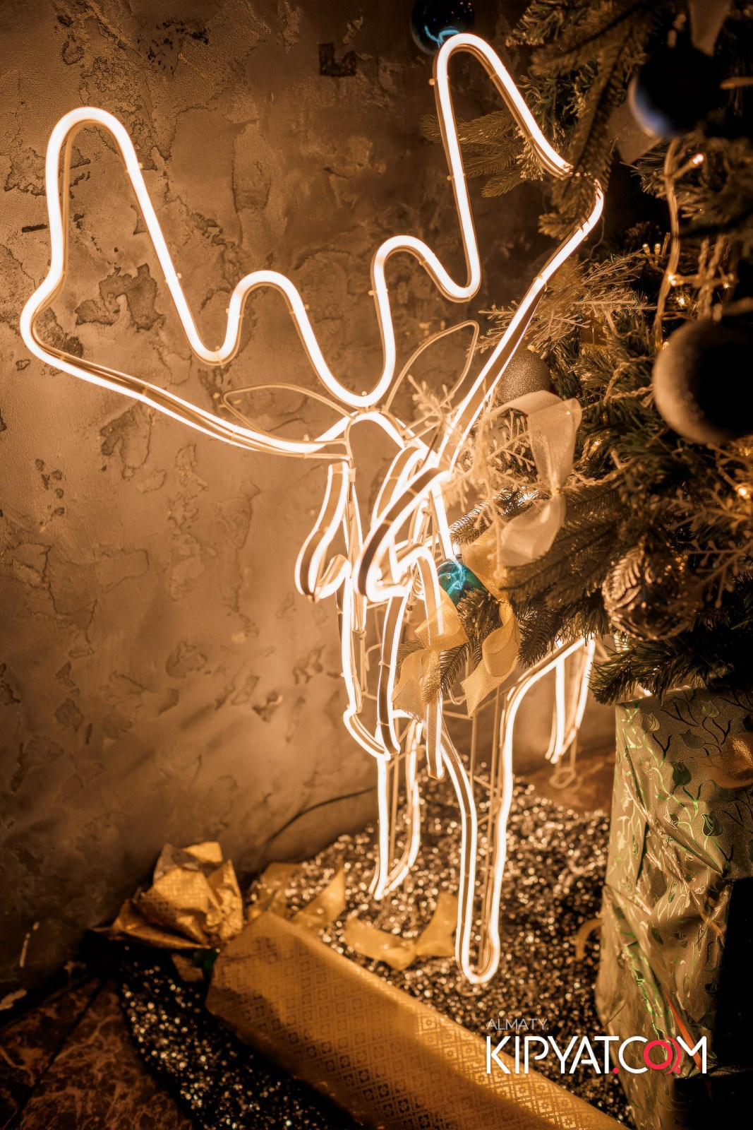 НАКАТИКА. КИПЯТКОМ АЛМАТЫ!