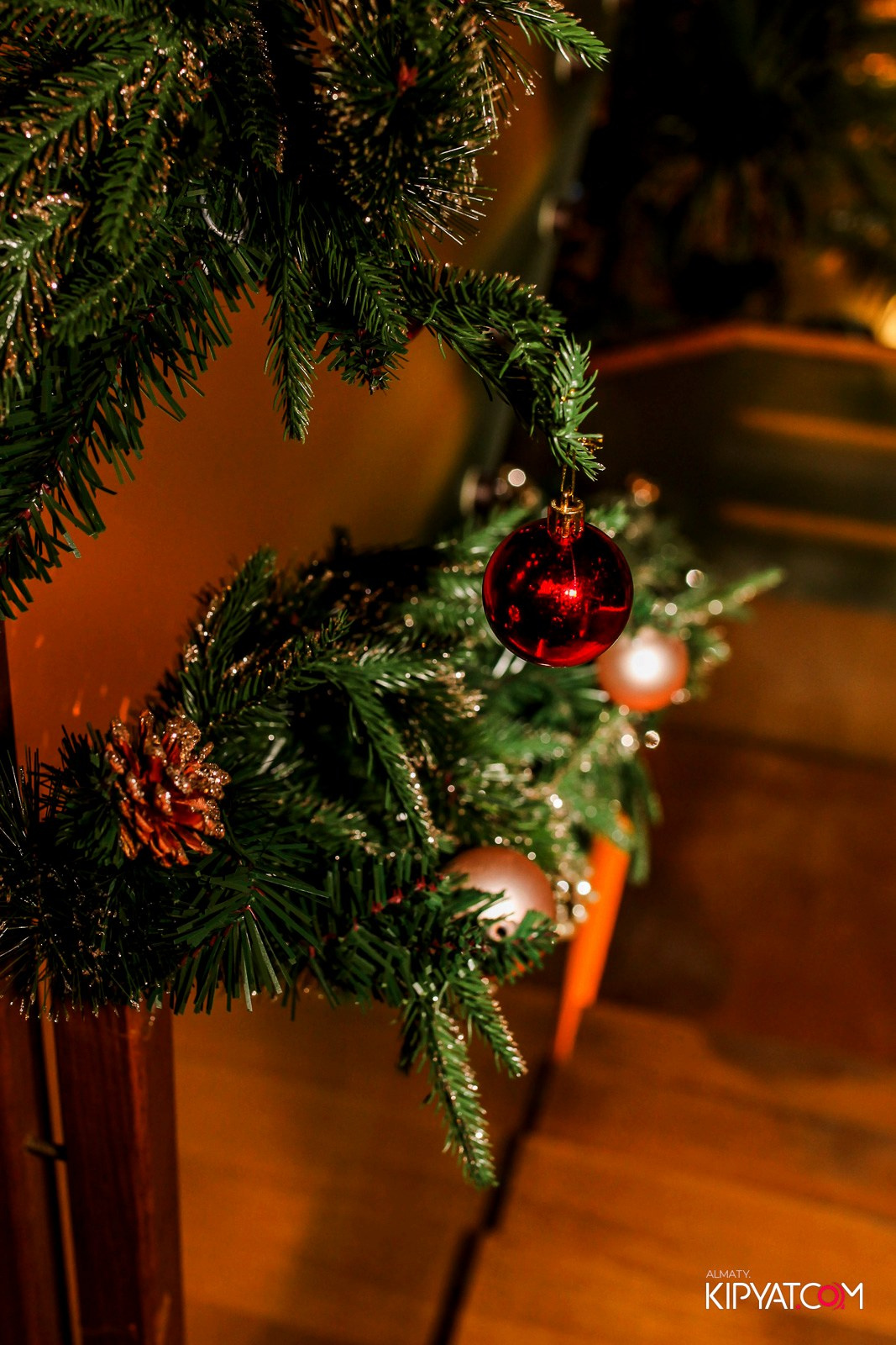 MODI RESTORANCHIK. КИПЯТКОМ АЛМАТЫ! Фотосъемка мероприятий в Алматы