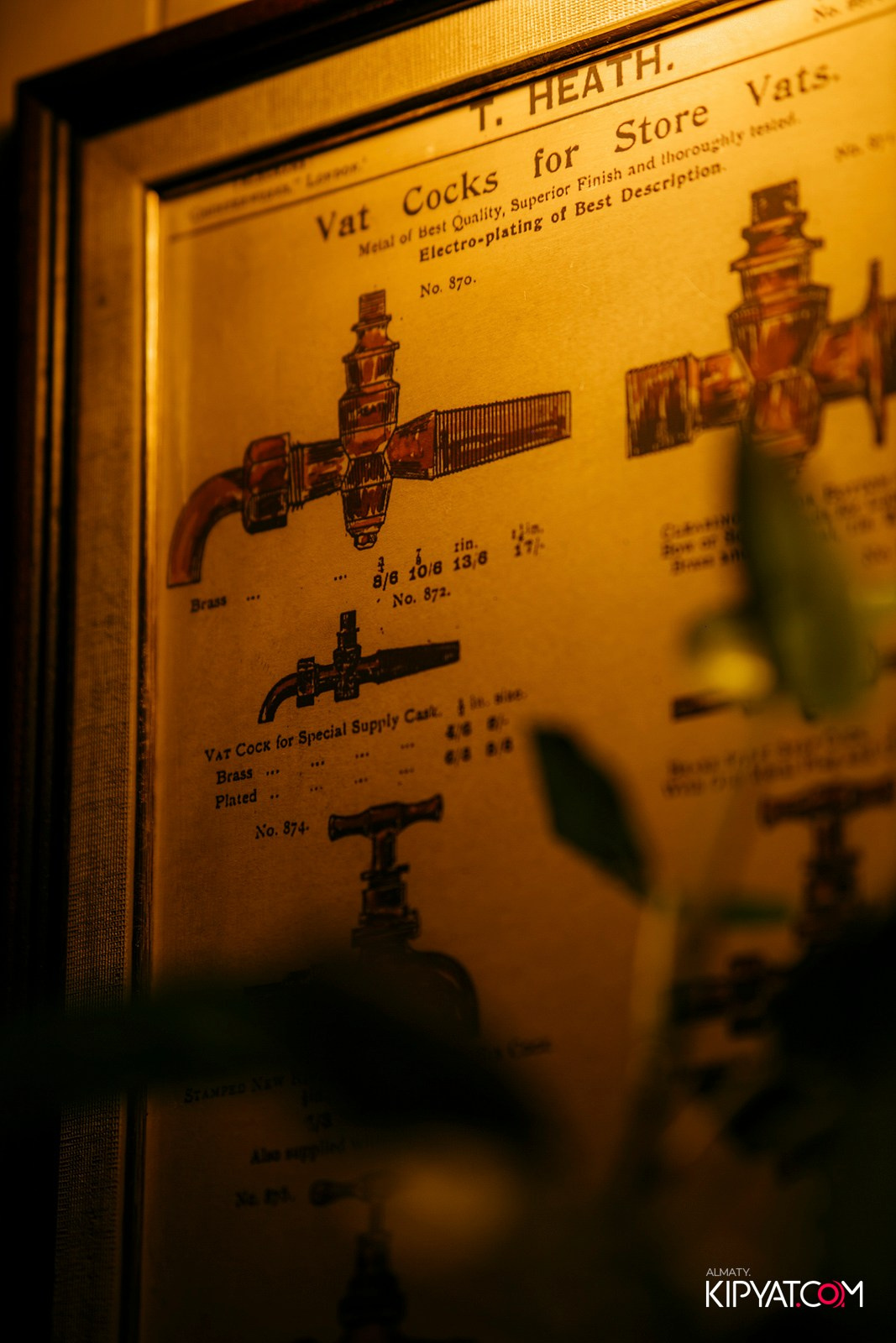 ЖИГУЛИ БАР-ДЕНЬ ЗНАНИЙ. КИПЯТКОМ АЛМАТЫ!