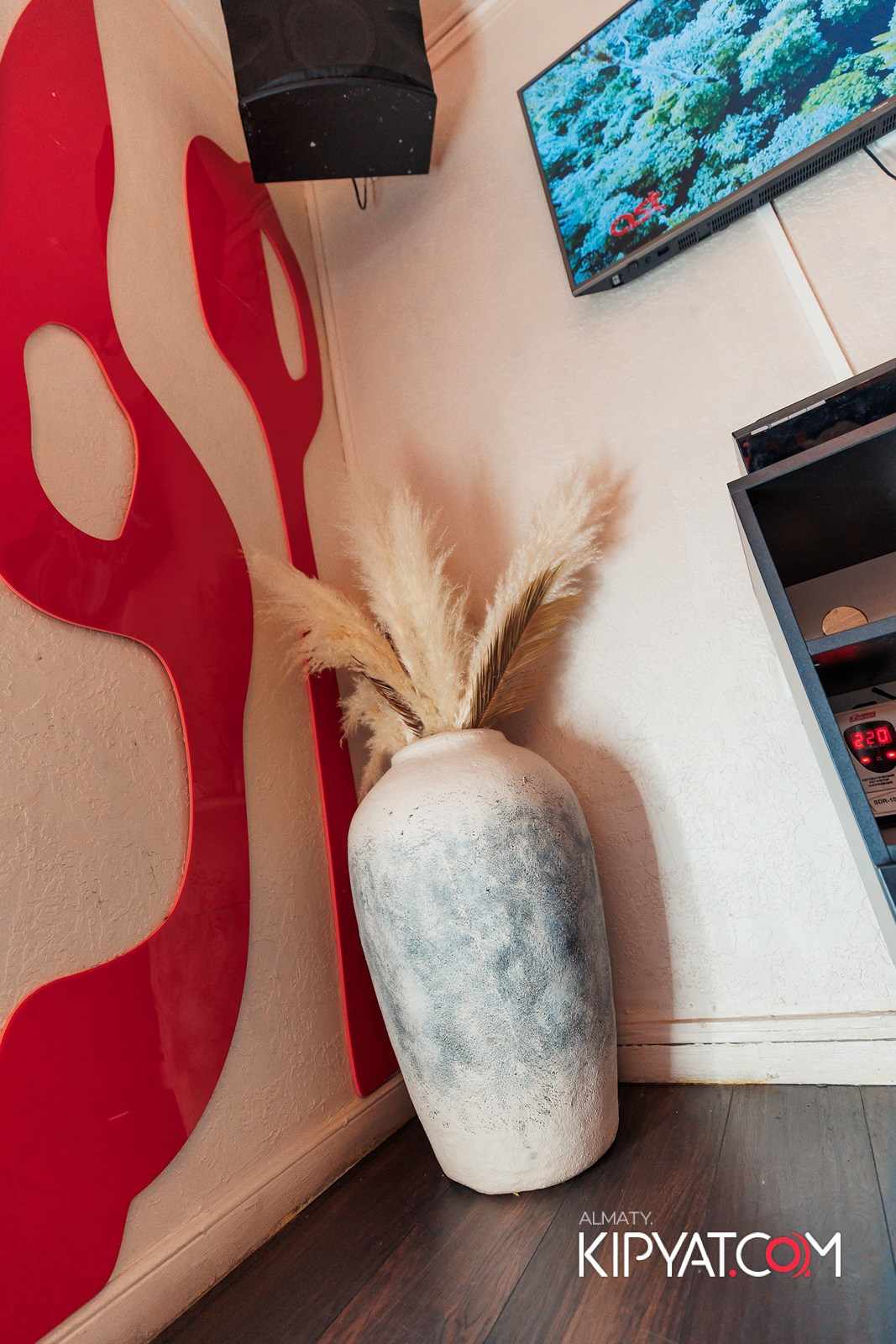 УХО И МЕДВЕДЬ НА САИНА. КИПЯТКОМ АЛМАТЫ!