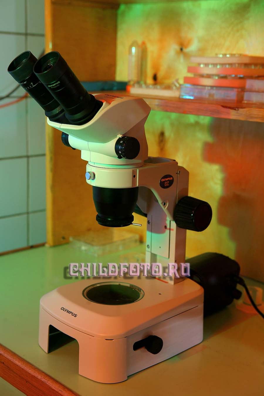 Институт Белка г. Пущино. Skazka.wfolio.pro