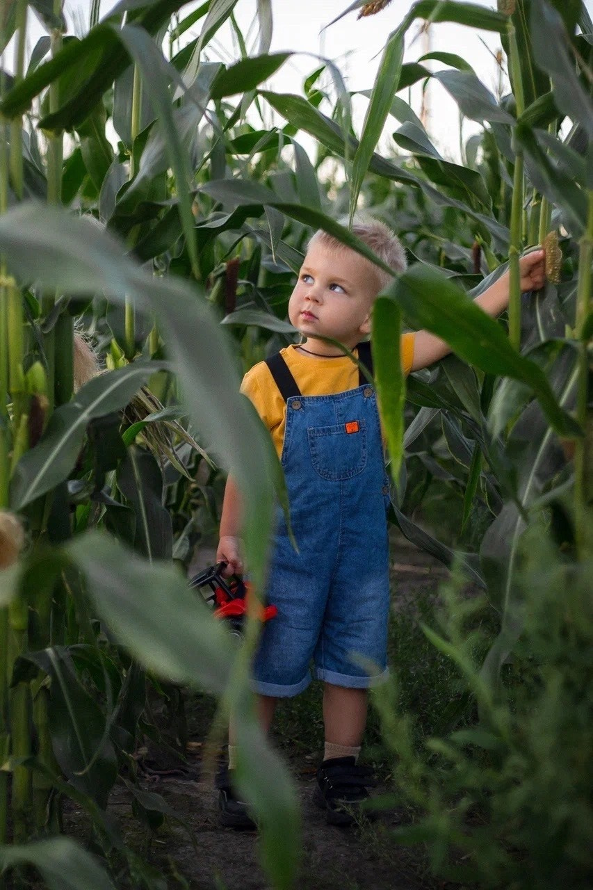 Кукурузные поля. Портретный, семейный, свадебный фотограф в Брянске Маргарита Василькова
