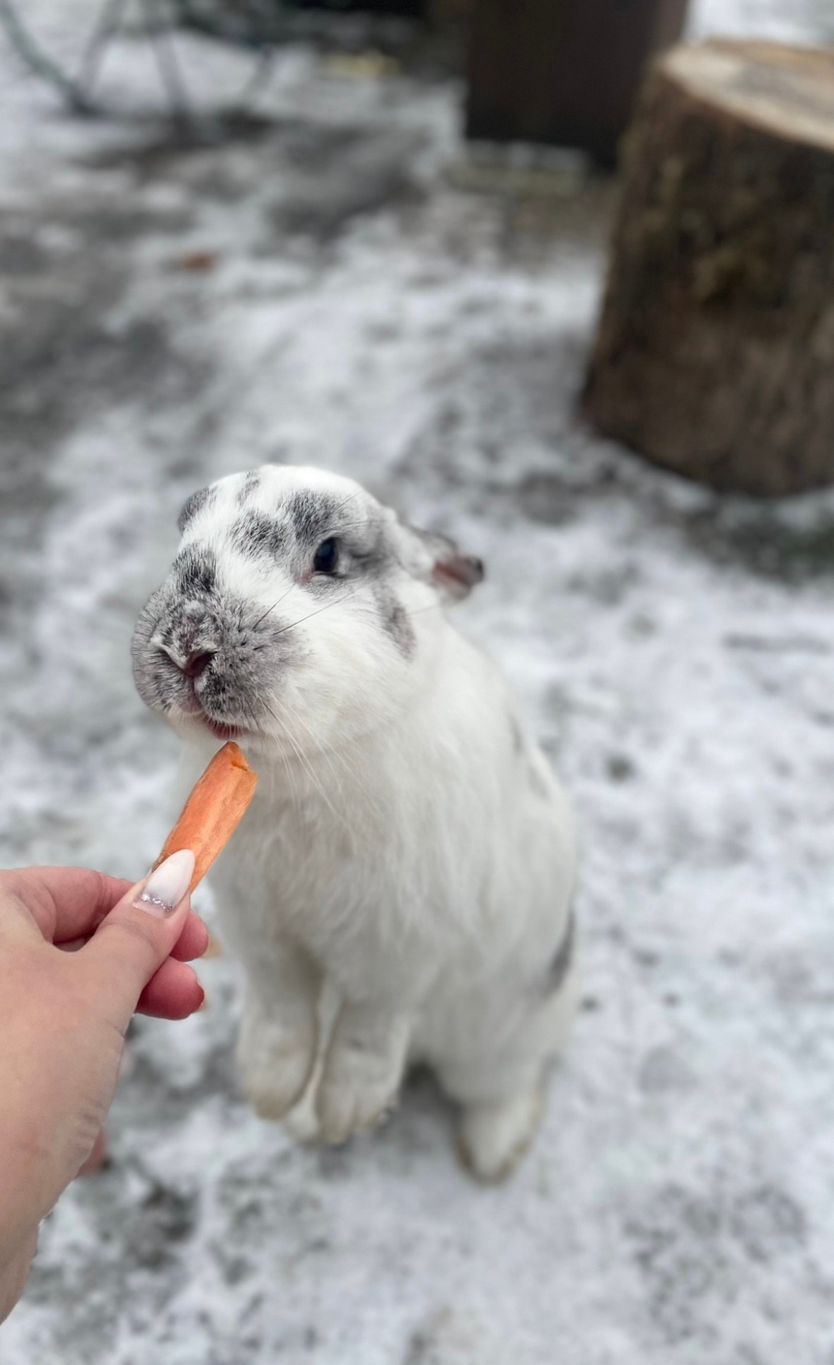 Калининград. Организатор Авторских Туров Жукова Алёна