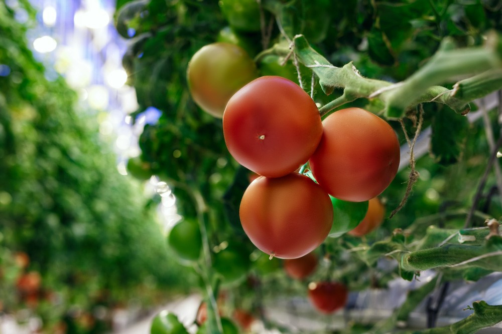 Промышленная рекламная индустриальная фотосъемка  - Портфолио фотографа. Промышленный фотограф | Бизнес-фотосессии | Казань и РФ