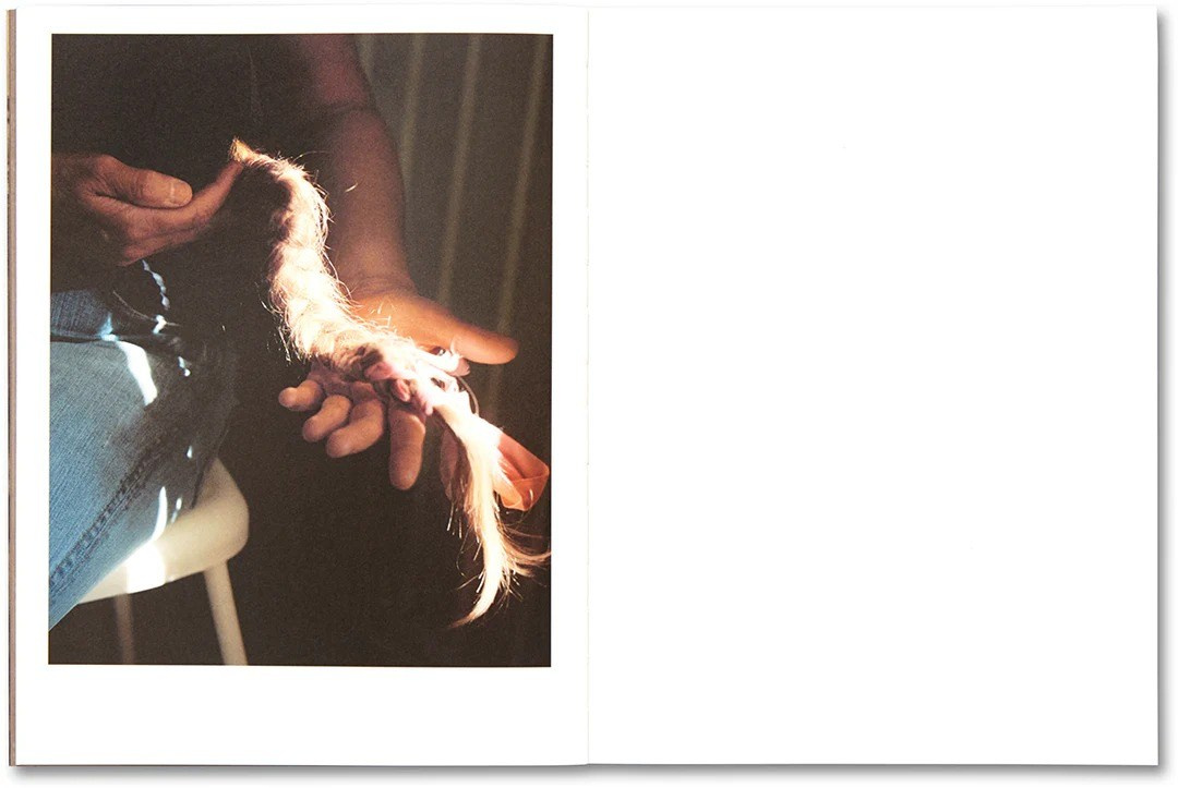 ИНТЕРВЬЮ С АВТОРАМИ: Maja Daniels. Самоорганизация Низина