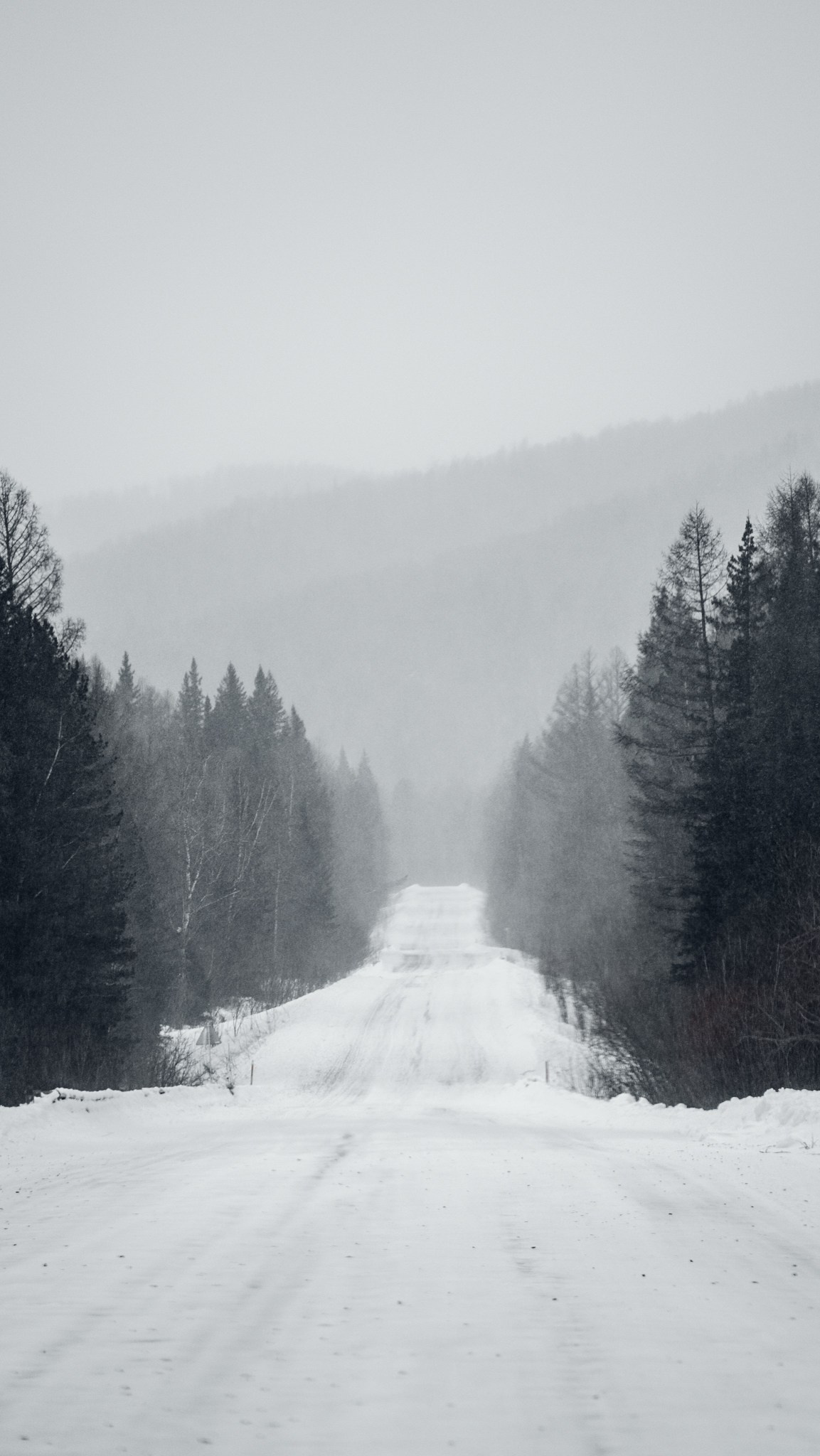 Приисковое. Человек с фотокамерой