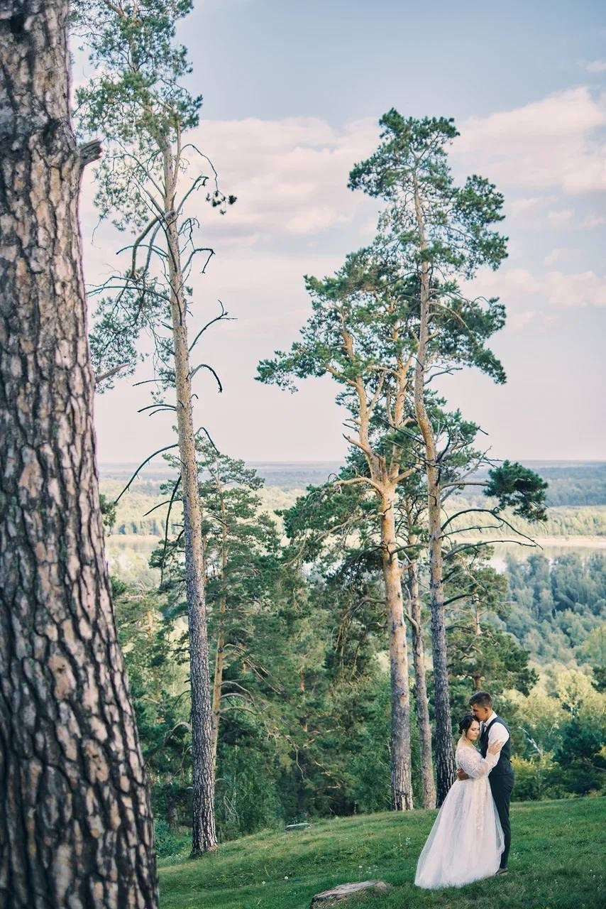 Никита и Виктория. Организатор свадеб Барнаул/Алтай/Дагестан