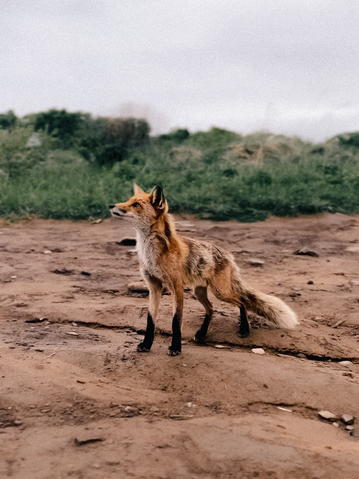 Владивосток. Фотограф Севастополь, Крым. Портретный и репортажный фотограф Коваленко Антонина