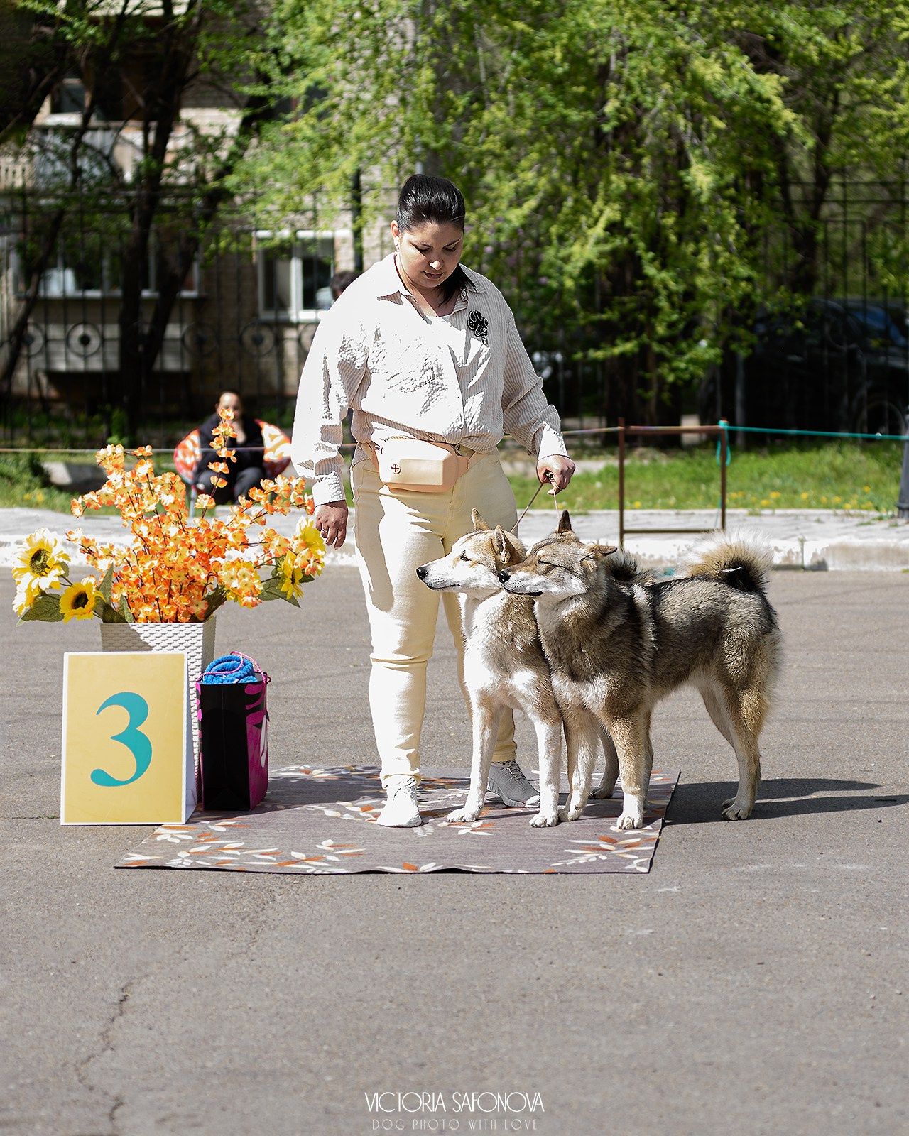 18–19 мая 2024 Благовещенск. Фотограф анималист Благовещенск. Сафонова Виктория