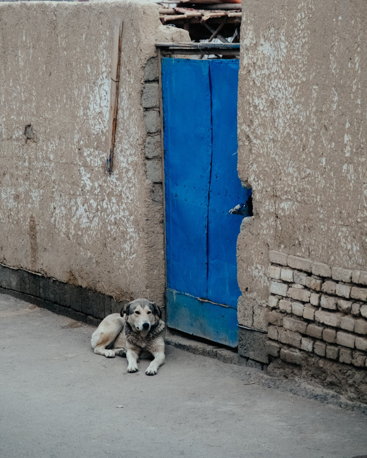 Узбекистан. Фотограф Дмитрий Олрайт | Калуга, Россия