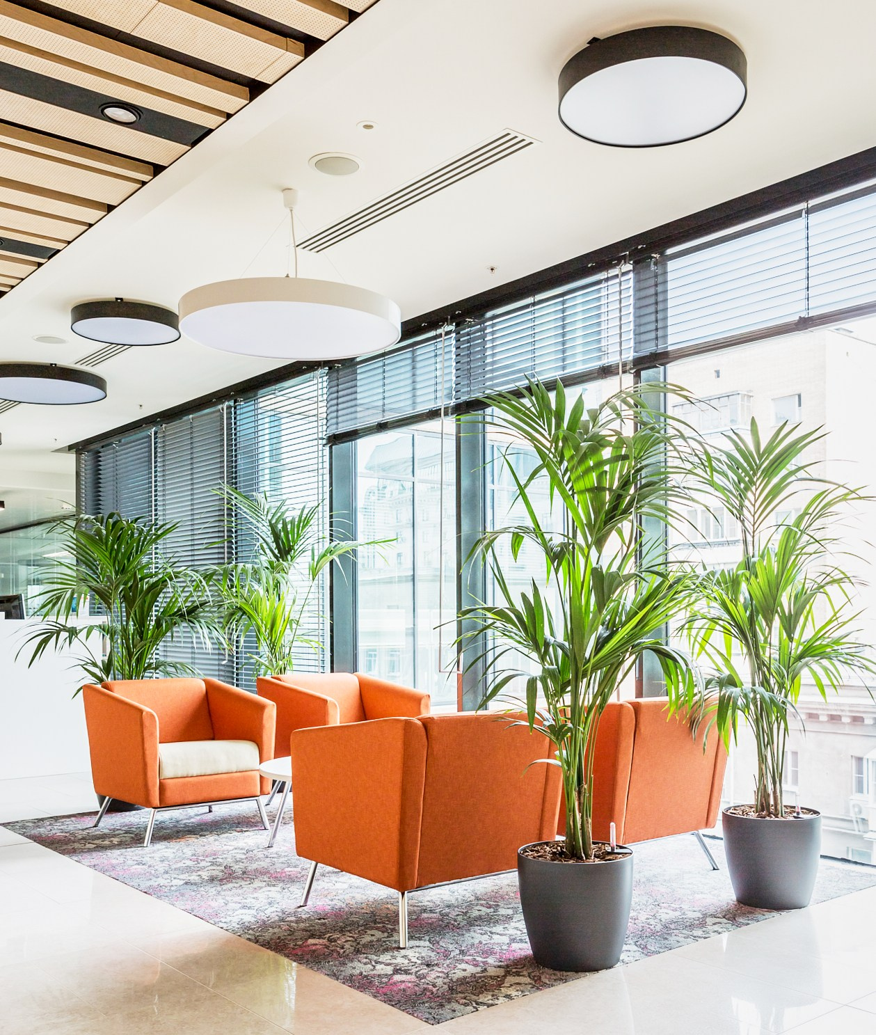 Озеленение ГК Techo. Фото и видео съемка в Сочи Адлере Красной поляне