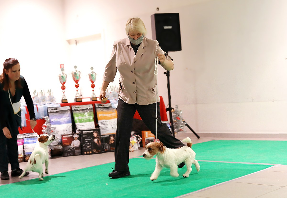 Port Fortis Zoom Zoom